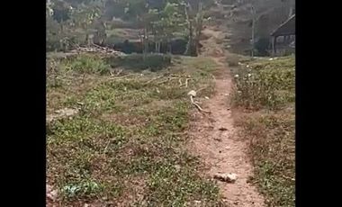 Cheap Land For Sale 26 Ha in Cihampelas West Bandung