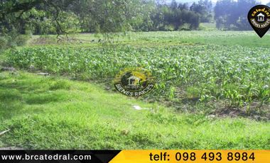 Terreno de venta en Chuquipata  – código:11584