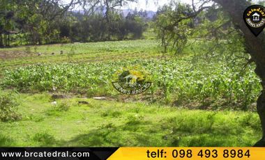 Terreno de venta en Chuquipata  – código:11584