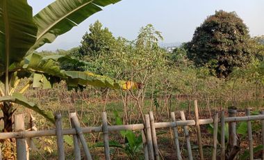 Tanah murah ngotak 2500mtr cimareme bandung Barat SHM