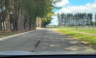 Parcela En Venta En Frutillar Condominio Alto Frutillar