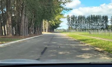 Parcela En Venta En Frutillar Condominio Alto Frutillar