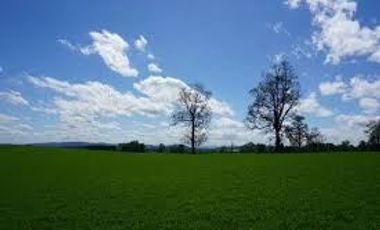 Terreno en venta en Cunco, Cautín