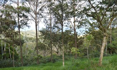 lote en venta en corregimiento montaÑitas. Cod V6646