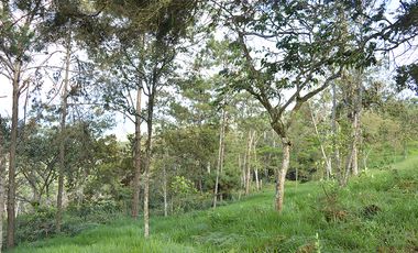 lote en venta en corregimiento montaÑitas. Cod V6646