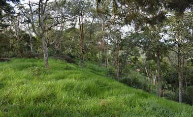 lote en venta en corregimiento montaÑitas. Cod V6646