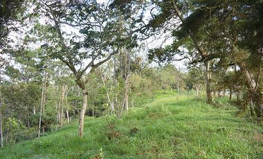 lote en venta en corregimiento montaÑitas. Cod V6646