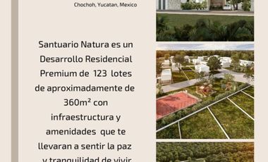 CHOCHOH, TERRENOS EN VENTA, TIXPEHUAL, YUCATÁN