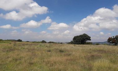 Terreno Habitacional ubicado en, Santa Cruz Alpuyeca, Cuautichan, Puebla