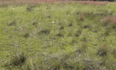 Terreno Habitacional ubicado en, Santa Cruz Alpuyeca, Cuautichan, Puebla