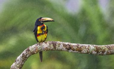 CASA EN VENTA EN LA MONTAÑA DE TRES PISOS,  2500M2, EN ALTOS DEL MARIA