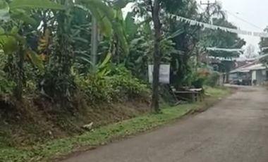Jual tanah kebun datar pinggir jalan desa Kiarapedes Wanayasa Purwakarta Jawa Barat