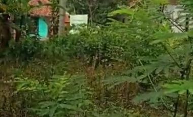 Jual tanah kebun datar pinggir jalan desa Kiarapedes Wanayasa Purwakarta Jawa Barat