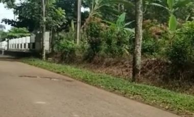 Jual tanah kebun datar pinggir jalan desa Kiarapedes Wanayasa Purwakarta Jawa Barat