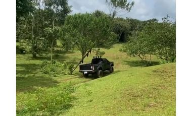 VENTA FINCA GANADERA EN VA PRINCIPAL HACIA CERRO CAMA LA CHORRERA