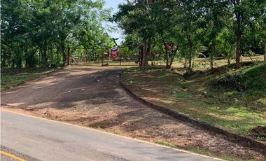 VENTA FINCA GANADERA EN VA PRINCIPAL HACIA CERRO CAMA LA CHORRERA
