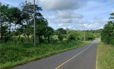 VENTA FINCA GANADERA EN VA PRINCIPAL HACIA CERRO CAMA LA CHORRERA