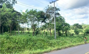 VENTA FINCA GANADERA EN VA PRINCIPAL HACIA CERRO CAMA LA CHORRERA
