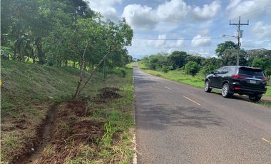 VENTA FINCA GANADERA EN VA PRINCIPAL HACIA CERRO CAMA LA CHORRERA