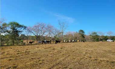 VENTA FINCA GANADERA EN VA PRINCIPAL HACIA CERRO CAMA LA CHORRERA
