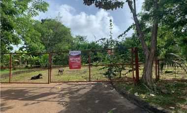 VENTA FINCA GANADERA EN VA PRINCIPAL HACIA CERRO CAMA LA CHORRERA