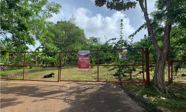 VENTA FINCA GANADERA EN VA PRINCIPAL HACIA CERRO CAMA LA CHORRERA