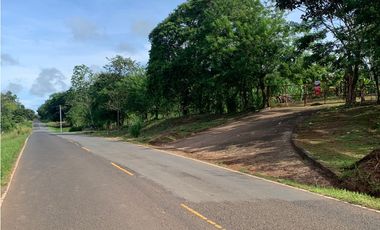 VENTA FINCA GANADERA EN VA PRINCIPAL HACIA CERRO CAMA LA CHORRERA