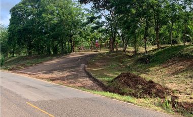 VENTA FINCA GANADERA EN VA PRINCIPAL HACIA CERRO CAMA LA CHORRERA