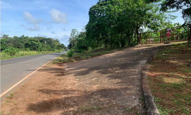 VENTA FINCA GANADERA EN VA PRINCIPAL HACIA CERRO CAMA LA CHORRERA