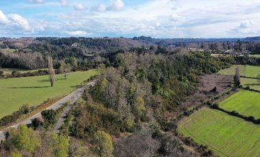 Terreno cerca Lago Ranco