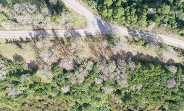 Terreno cerca Lago Ranco