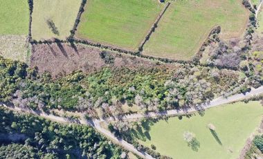 Terreno cerca Lago Ranco