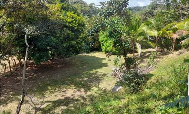 CASA EN PENONOME COLINDA CON RIO EXTENSO TERRENO 1108.83 M2