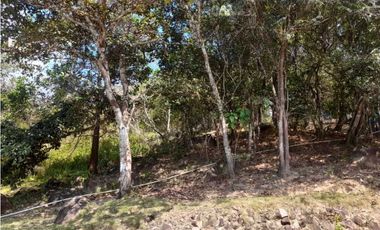 CASA EN PENONOME COLINDA CON RIO EXTENSO TERRENO 1108.83 M2