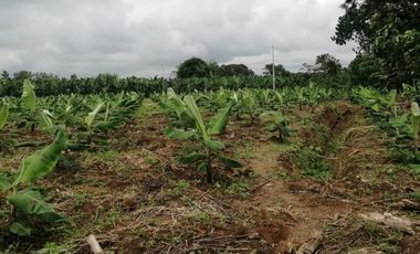 Terreno en Venta sector Catarama