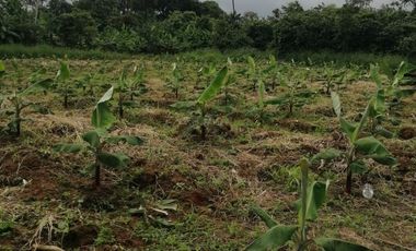 Terreno en Venta sector Catarama