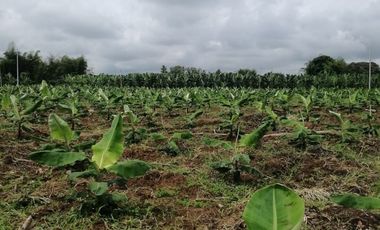 Terreno en Venta sector Catarama