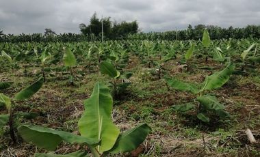 Terreno en Venta sector Catarama