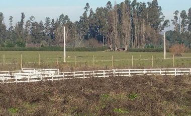 PARCELAS DE 5.000 M2, EN SECTOR LA ESPERANZA, ESTACIÓN VILLA ALEGRE, COMUNA DE YERBAS BUENAS, (LUZ ELÉCTRICA INCLUIDA).