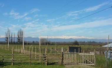 PARCELAS DE 5.000 M2, EN SECTOR LA ESPERANZA, ESTACIÓN VILLA ALEGRE, COMUNA DE YERBAS BUENAS, (LUZ ELÉCTRICA INCLUIDA).