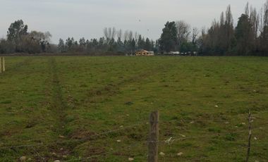 PARCELAS DE 5.000 M2, EN SECTOR LA ESPERANZA, ESTACIÓN VILLA ALEGRE, COMUNA DE YERBAS BUENAS, (LUZ ELÉCTRICA INCLUIDA).