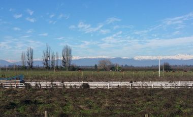PARCELAS DE 5.000 M2, EN SECTOR LA ESPERANZA, ESTACIÓN VILLA ALEGRE, COMUNA DE YERBAS BUENAS, (LUZ ELÉCTRICA INCLUIDA).