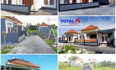 Dijual perumahan minimalis ekonomis, harga murah meriah di Tojan, Pering, Blahbatuh, Gianyar, Bali