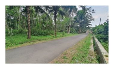 Kawasan Wisata Borobudur Magelang Tanah Kapling SHM