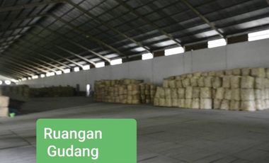 Dijual Gudang Jl Raya Bojonegoro-Surabaya, Bojonegoro, Jawa Timur