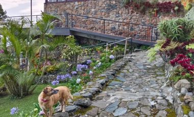 casa campestre en venta en dapa. Cod V7771