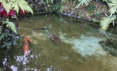 casa campestre en venta en dapa. Cod V7771