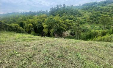 Lote en Venta en el sector de  Chinchiná - Caldas