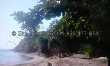 Tanah Murah Tepi Pantai Pasir Putih Pulau Moyo
