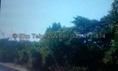 Tanah Murah Tepi Pantai Pasir Putih Pulau Moyo